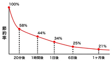 復習のタイミングが分からない！脳に一番定着するのはいつ？