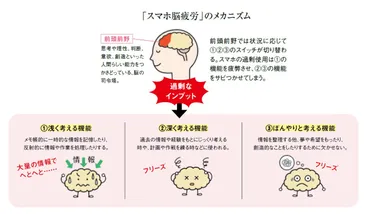 集中力や記憶力が落ちていませんか?「スマホ脳疲労」に注意