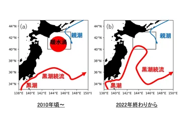 地球温暖化と海氷変動の謎？温暖化と海流、海氷の不思議に迫る。地球温暖化と海流・海氷の変動：最新の研究から見える未来