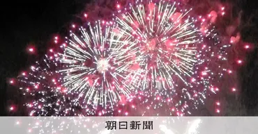 大曲の花火師、世界最高峰の花火競技大会で銅賞 日本のお家芸で魅了 秋田県:朝日新聞