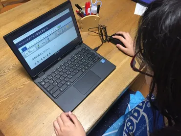 学校の1人1台タブレットで動画やゲーム…家庭でどう管理? 戸惑う親 世田谷区は「あえて制限少なめ」 自治体で分かれる対応