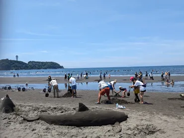 片瀬西浜・鵠沼海水浴場 環境教育(江の島海水浴場協同組合)