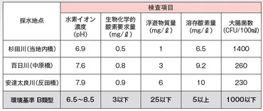 水環境と海洋研究最前線：未来を拓く多様な研究とは？水質調査から地球規模の物質循環、そして最新技術まで