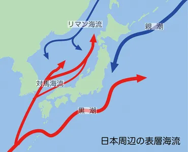 ミニチュア大洋「日本海」が発する警告 海洋環境への地球温暖化の影響