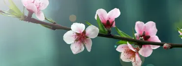 万葉集～大伴家持の歌