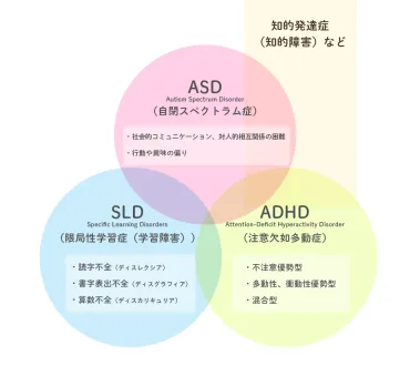 専門家監修】ASD（自閉スペクトラム症）とADHD（注意欠如多動症）の違いは？こだわりはどちらの特徴？【LITALICO発達ナビ】