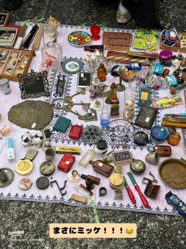 蚤の市】まるでミッケ！の世界に迷い込んだよう🪐谷中の骨董市で特別なインテリアをゲット🥄 