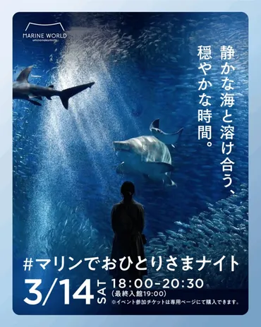 札幌で新種のクジラ化石を発見！900万年前の「サッポロクジラ」が教えてくれること 