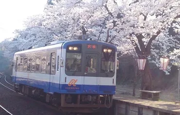 人気のお花見スポット「能登鹿島駅」は駅愛称名「能登さくら駅」【穴水町】 