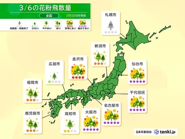 今日6日(金) 近畿から東北南部にかけてスギ花粉が大量飛散 対策を万全に(気象予報士 戸田 よしか 2026年03月06日) 