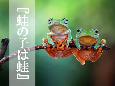 蛙の子は蛙』はどういう意味？ 正しい使い方と似た意味のことわざ – grape グレイプ