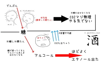 日本酒造りの世界を探求！製法、酵母、味わいの奥深さとは？日本酒の多様性：製法、酵母、楽しみ方の基礎知識