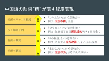 程度を表す中国語の助詞 ゛所゛ の使い方 