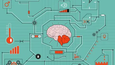 妊娠・出産をしない「父親」の脳にはこんな変化が起きていた！ 