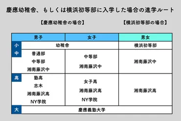 医学部に進ませたいなら、幼稚舎には入れないほうがいい！？慶應付属校から内部進学するときの極意(1/4)東京カレンダー 