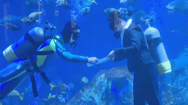 スーツ姿で水槽にドボン 水族館の新入飼育員が大水槽で水中入社式 