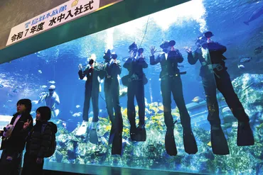動画】ウミガメもフレッシュな同僚歓迎 鳥羽水族館で恒例の「水中入社式」：中日新聞Web
