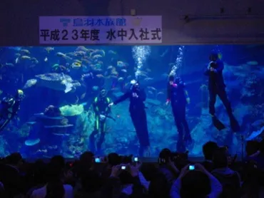 鳥羽水族館で恒例の「水中入社式」－配属は飼育研究部と営業第1部 