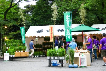 夏至を楽しむ！ 旬の味覚、地域の風習、日照時間の変化とは？夏至の魅力と過ごし方：旬の食べ物、行事、日没、日照時間