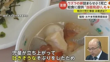 給食の悲劇：みやま市の小学校で起きた窒息事故とは？ウズラの卵による窒息事故、学校と教育委員会の対応、安全対策の強化