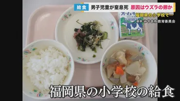 給食のウズラの卵で児童が窒息死過去に何度か同様の事例が対処法の一つが「ハイムリック法」