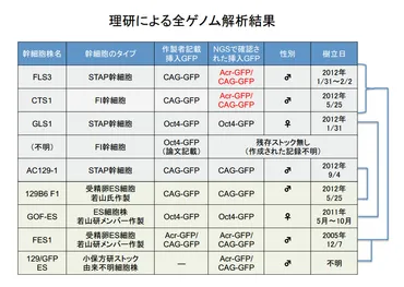 論文のSTAP細胞、なかったことはほぼ確実」と調査委 小保方氏、実験データほとんど提出せず（1/4 ページ） 