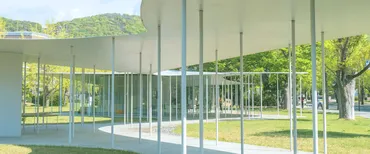 西表島でミヤイリガイの新亜種を発見 日本住血吸虫症の心配はありません！ 