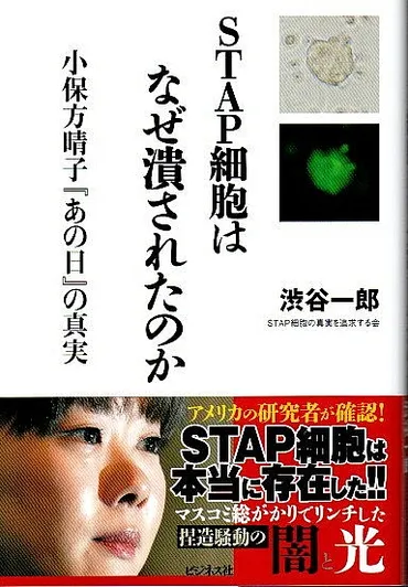 STAP細胞はなぜ潰されたのか ―小保方晴子『あの日』の真実(渋谷 ...