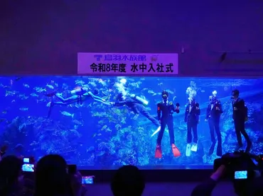 鳥羽水族館の入社式はアオウミガメ見守る巨大水槽の中 新入社員5 ...