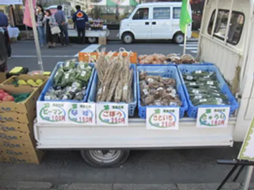 軽トラマルシェと姉妹の挑戦：震災からの復興と未来への希望？困難を乗り越え、野菜への情熱を燃やす姉妹たちの物語