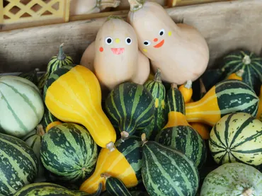 女性ならではの視点で稼げる農業を実現する 姉妹でつなぐ家族の歴史