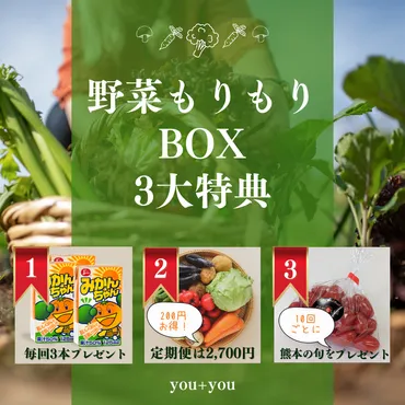 《定期購入》くまもと野菜もりもりＢＯＸ