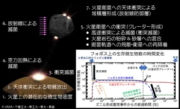 火星衛星探査に向けた国際的な惑星保護方針への貢献について~日本の研究チームが火星衛星微生物汚染評価に関する科学的研究成果を発表国際ルール設定へ主導的な役割~