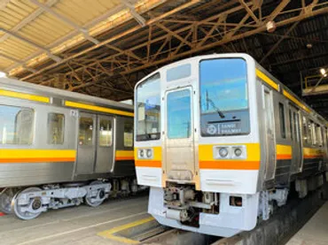 西武鉄道の線路を歩くレールウォーク高架化に先立ち施設見学会東京都:朝日新聞