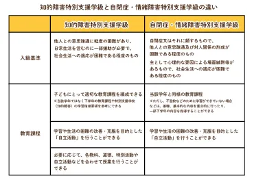 特別支援学級とは?通級との違い、対象の障害や基準、授業内容を紹介【発達ナビ】