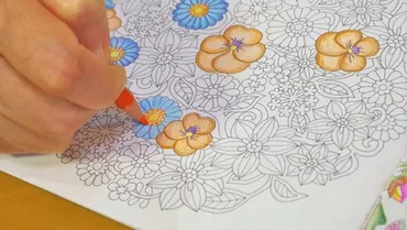 一気に夢中になる『大人の塗り絵』。人気の可愛い本、塗り方などをご紹介♪