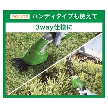 雑草を売る副業って儲かるの？始め方と注意点について解説(？)雑草転売のススメ：違法販売にならないための基礎知識