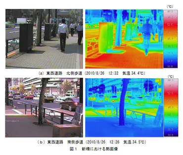 環境省、ヒートアイランド現象を街路樹や服装などによって、その熱ストレスを軽減する調査を実施しなやかな技術研究会