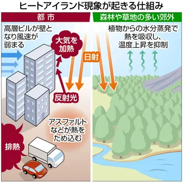 過熱する都心冷やそう再開発でヒートアイランド深刻湾岸部は「風の道」に期待:東京新聞デジタル