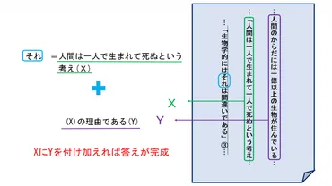 中学入試国語の記述問題はこう解く！本文から正しい答えを導く方法