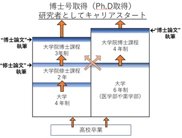 博士号とは?修士、学士との違いは何?メリットや難易度は?【博士が解説】