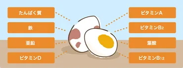うずらの卵の栄養成分