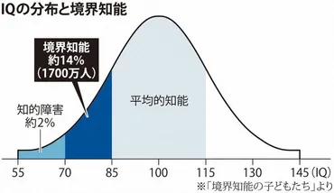境界知能「はざま」の生きづらさ人に人に可能性学習の土台築きにくく