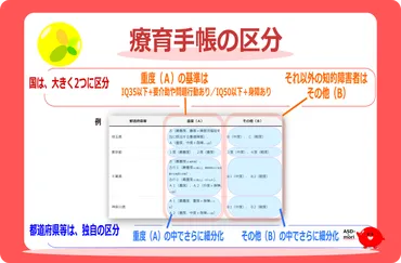 療育手帳】交付対象
