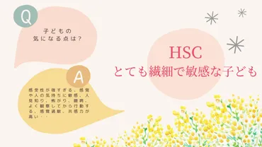 息子はなのか?全項目のチェックリストをやってみた