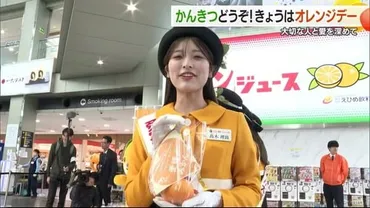 オレンジデーってどんな日？ 柑橘と愛を祝う記念日を徹底解説！(？)4月14日はオレンジデー！ 愛媛発祥の柑橘と愛の記念日