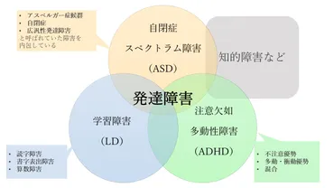 発達障害グレーゾーンとは?特徴や正確な診断、治療の可否について
