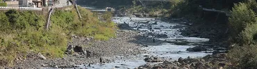 鮎の国わかやま入れ掛かり総合案内所有田川案内ページ
